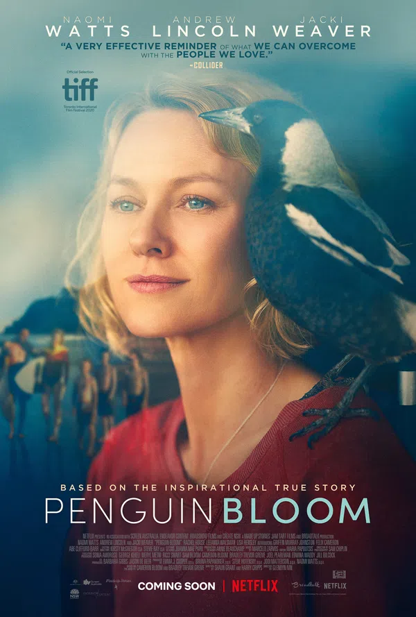Xem Phim Cánh Cụt Nhà Bloom Vietsub HD Online