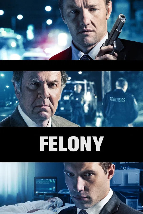 Xem Phim Felony Vietsub HD Online
